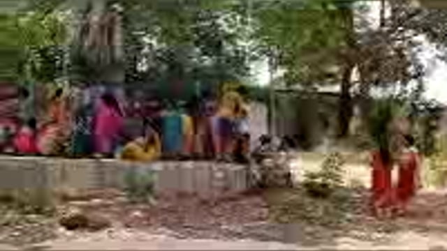 सिंदेवाही येथे वटपौर्णिमा साजरी . 