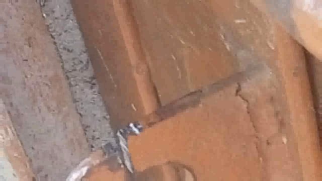 भूल भुलिया पुर गांव में बीती रात अज्ञात चोरों ने धार्मिक स्थल का दरवाजा काटकर कीमती सामान किया चोरी दी गई तहरीर