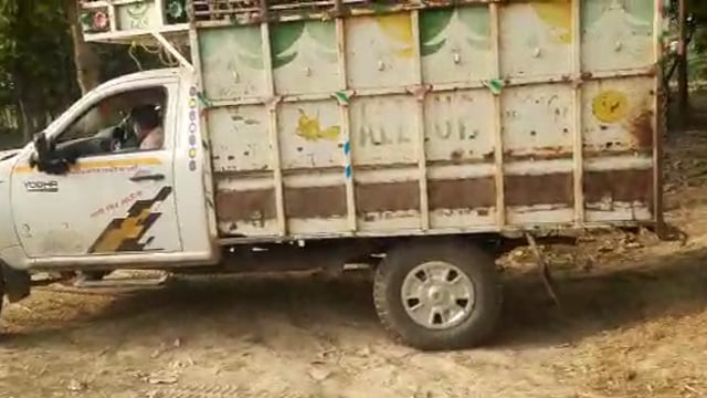 सीमा वर्ती क्षेत्र थाना रुपईडीहा के बाबागंज पुलिस चौकी  प्रतिबंधित पशुओं की तस्करी पुलिस जान कर भी बनी अनजान