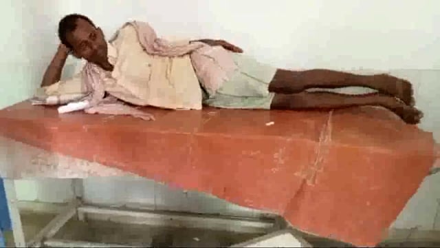 मधुमक्खी के हमले से एक व्यक्ति जख्मी रेफरल अस्पताल में हुआ प्राथमिक उपचार