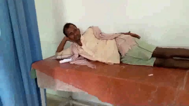 मधुमक्खी के हमले से एक व्यक्ति जख्मी रेफरल अस्पताल में हुआ प्राथमिक उपचार