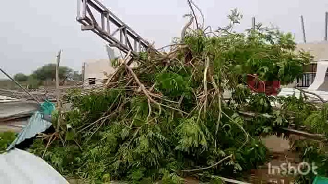 वडाळा पैकू येथील ग्रामगीता महाविद्यालयाच्या शेडच्या टीना वादळी पावसाने उडाल्या