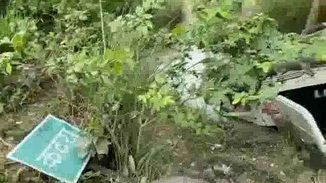 तेज रफ्तार पिकअप अनियंत्रित होकर खाई में पलटी बैठी महिला सहित चालक को आई चोटें