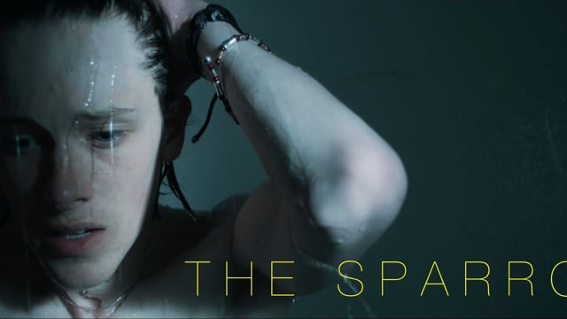 The Sparrow Teaser Clip 01: Woods