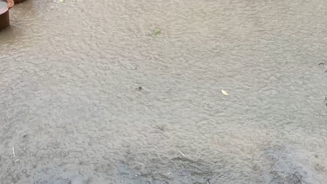 बहराइच के कई इलाकों में हुई झमाझम बारिश,लोगों को गर्मी से मिली राहत