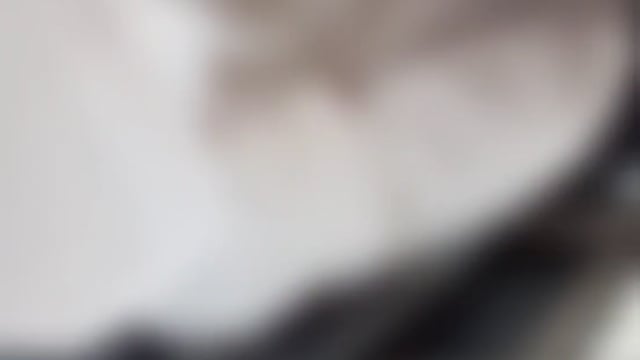 रायडीह गांव में बालिका ने खाया जहरीला पदार्थ हुई मौत पुलिस जांच में जुटी 