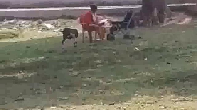 स्कुल टाईम में बागीचे में आराम फरमाती प्रधानाध्यापिका का विडियो वायरल 