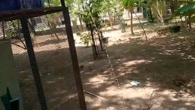 हमीरपुर : पानी की टंकियों से रोज बह रहा सैकड़ो लीटर पानी