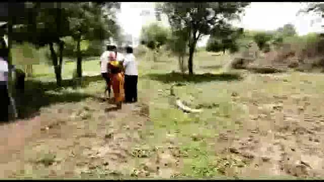 देशमुख वाडी येथे परगावच्या मेंढपाळाला जबर मारहाण उपचारासाठी सांगली सिव्हिल हॉस्पिटलच्या अतिदक्षता विभागामध्ये हलवले

