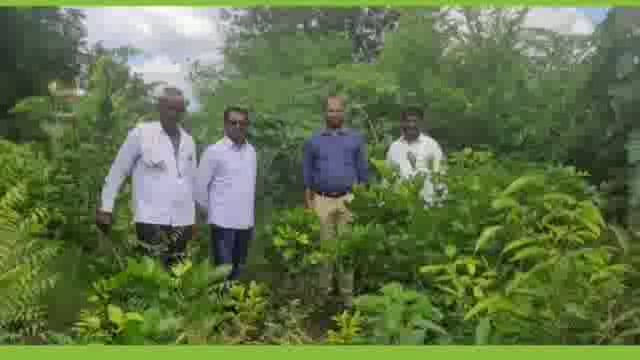 भाकसखेडा येथील मियावाकी वृक्षलागवडीची तहसीलदार रामेश्वर गोरे यांनी केली पाहणी 
