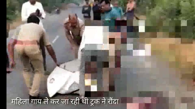 गाय लेकर जा रही महिला को ट्रक ने रौंदा,गाय व महिला की मौके पर मौत,महिला का बेटा बाल बाल बचा