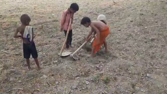 नवाबगंज क्षेत्र के खरगूपुर गांव में बच्चों ने पेश की मानवता की मिसाल तीन तोते के बच्चों को दिया मिट्टी