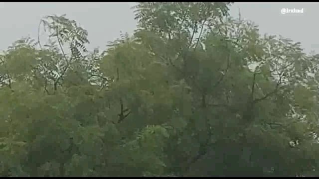 हमीरपुर : तेज हवाओं के साथ हुई जोरदार बारिश