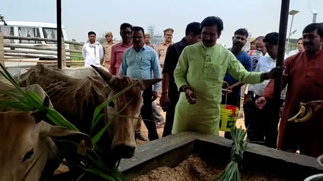कैबिनेट मंत्री अनिल राजभर ने गौशाला का किया औचक निरीक्षण संबंधित को दिए निर्देश