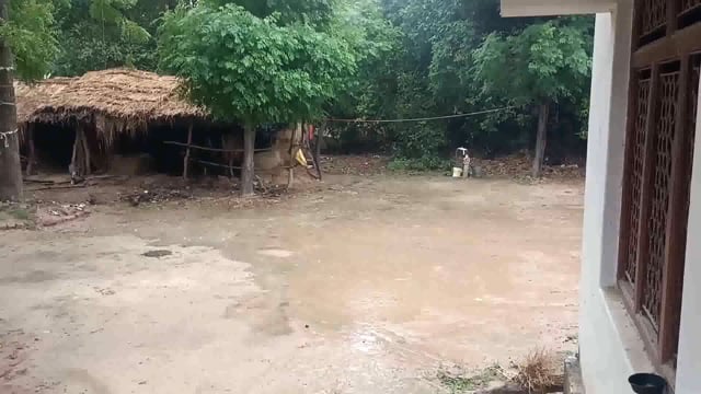 हल्की बारिश से गर्मी से मिली राहत, रोपाई में आएगी तेजी