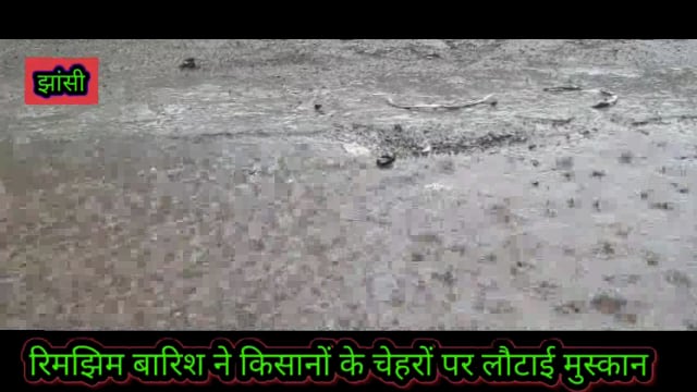 हल्की बारिश से किसानों के चेहरों पर आई रौनक 