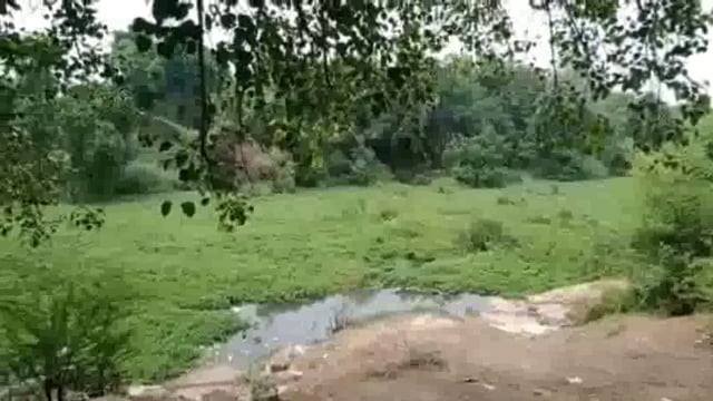 शहजाद नदी में हो गया है काफी प्रदूषण, शहजाद नदी का धार्मिक दृष्टि से बड़ा महत्त्व