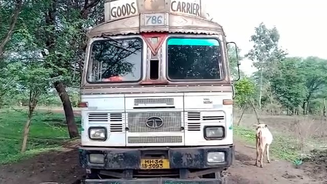 बेमेतरा ब्रेकिंग:-  मवेशियों से भरे ट्रक ने पुलिस की पेट्रोलिंग गाड़ी को मारी टक्कर ,पोलिस ने कड़े मवेशियों से भरे  ट्रक 