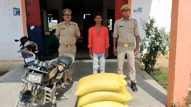 यूरिया खाद्य की तस्करी करते समय कपिलवस्तु पुलिस ने एक तस्कर को किया  गिरफ्तार