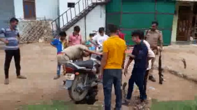 तेज रफ्तार बस की टक्कर से बाइक सवार 2 अधेड़ गम्भीर रूप से घायल