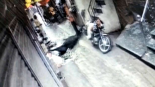 मिर्ज़ापुर : बिजली के पोल में करंट आ जाने से गाय की हुई मौत, स्थानीय लोगों ने बिजली विभाग पर लापरवाही का लगाया आरोप