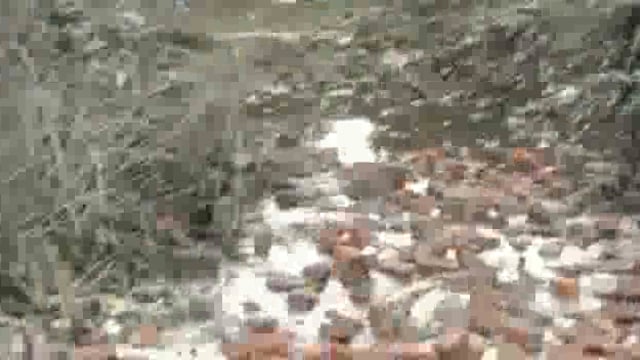 भ्रस्टाचार की भेंट चढ़ा हैदरगढ़ नगर पंचायत का विकास,नगर वासियों में आक्रोश।