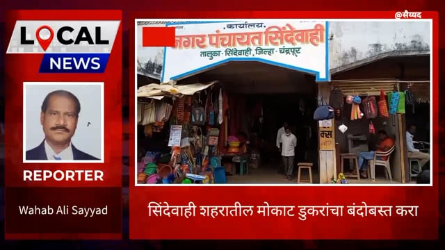 शहरातील मोकाट डुकरांचा बदोबस्त करा. 