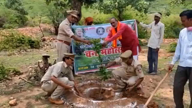 भस्नेह में वन विभाग द्वारा किया गया वृक्षारोपण