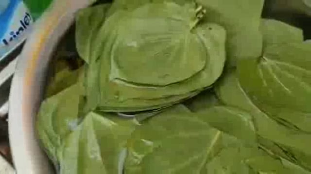 कोंच जालौन:यदि आप पान के शौकीन है तो देखे यह खबर