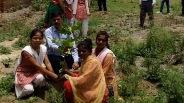 गुरसरांय नगर के डॉ राम मनोहर लोहिया महिला महाविद्यालय में किया गया वृक्षारोपण