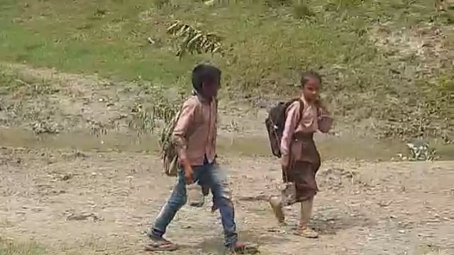 नवाबगंज क्षेत्र के कई विद्यालयों में वन महोत्सव के मौके पर बांटे गए विद्यार्थियों को पौधे