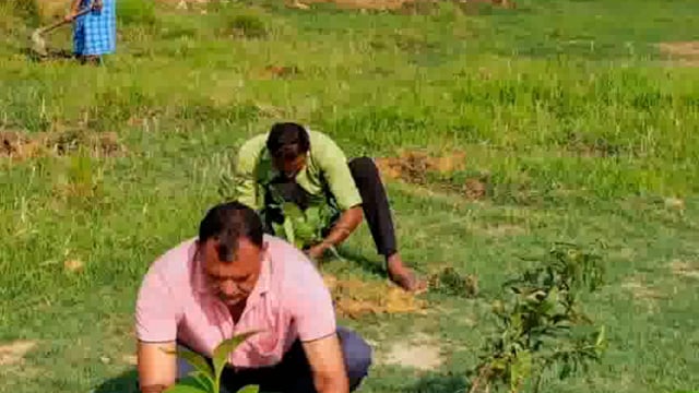 मिश्रौलिया पुलिस द्वारा थाना परिसर में वृक्षारोपण कार्यक्रम का किया गया आयोजन स्टाफ के लोगों ने किया वृक्षारोपण ।