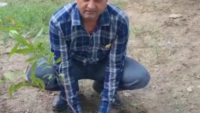 वजीरगंज ग्राम पंचायत गेडसर के प्राथमिक विद्यालय तिवारी पुरवा के प्रधानाध्यापक ने किया पौधरोपण लिया संरक्षण का संकल्प 
