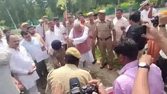 सांसद जगदम्बिका पाल ने किया वृक्षारोपण 