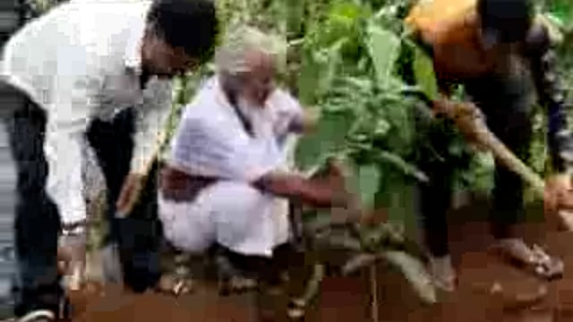 चुनार मिर्ज़ापुर: मगन दीवाना पहाड़ी पर विहिप के कार्यकर्ताओं ने किया वृक्षारोपण