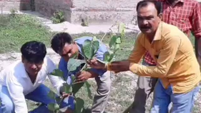 तरबगंज,, प्रधान प्रतिनिधि ने पौधरोपण   कर पर्यावरण संरक्षण का दिया संदेश