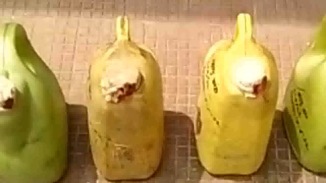 पोठिया पुलिस ने अलग-अलग जगहों से पच्चीस लीटर देसी शराब के साथ तीन विक्रेता को किया गिरफ्तार


