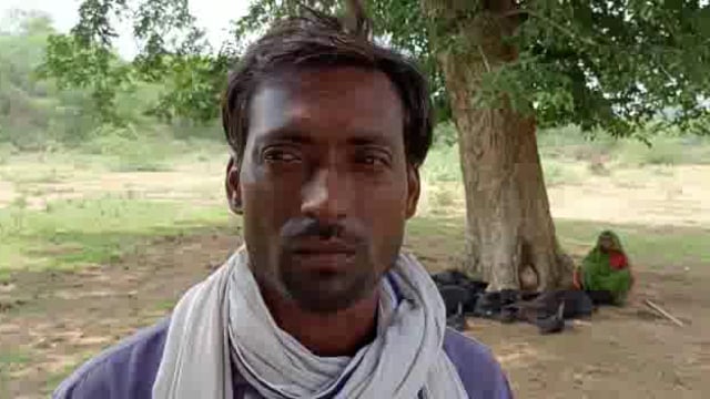 आकाशीय बिजली की चपेट में आकर 11 बकरियों की दर्दनाक मौत