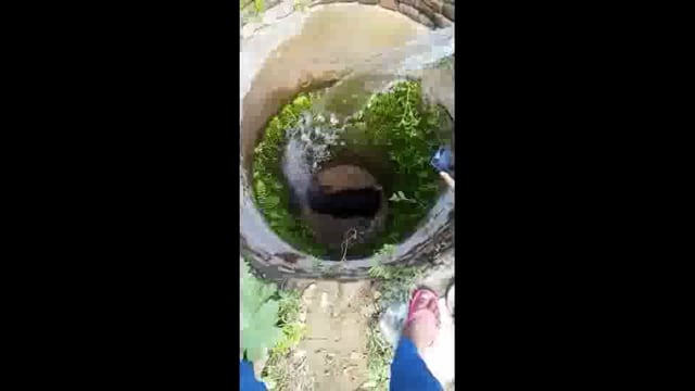 बासुदेवपुर गांव में कुएं में गिरा एक सांड ग्रामीणों के अथक प्रयास से सांड को बाहर निकाला गया