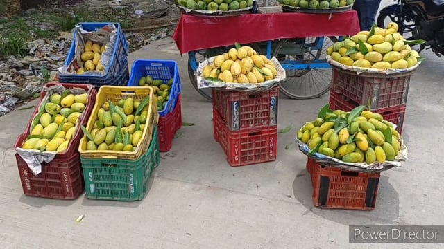 आम आदमी की पकड़ से इस बार आम रहेगा दूर