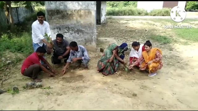 पूर्व माध्यमिक विद्यालय खजुरिहा के प्रधानाध्यापक आशुतोष वर्मा की अगुवाई में विद्यालय प्रांगण में किया गया वृक्षारोपण 