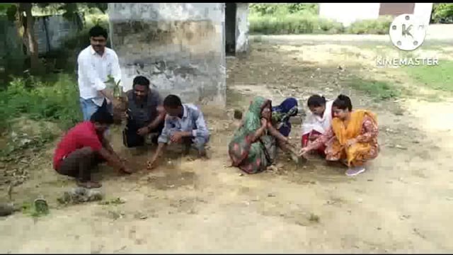 पूर्व माध्यमिक विद्यालय खजुरिहा के प्रधानाध्यापक आशुतोष वर्मा की अगुवाई में विद्यालय प्रांगण में किया गया वृक्षारोपण 