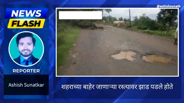 रस्त्यावर झाड पडल्याने नागरिकांच्या रहदारीस अडचण 