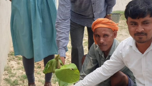 वजीरगंज के अंतर्गत गौशाला मझारा में पशु चिकित्सा अधिकारी डॉ पूजा आर्य ने किया पौधरोपण लिया संरक्षण का संकल्प 