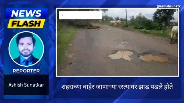 रस्त्यावर झाड पडल्याने नागरिकांच्या रहदारीस अडचण 