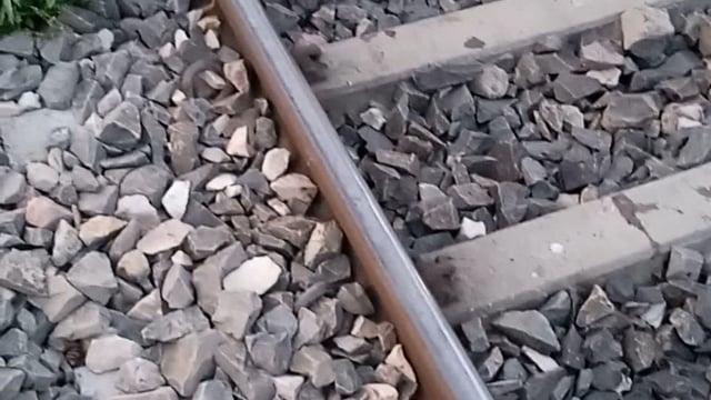 सिद्धार्थनगर जिले के भिटिया के पास ट्रेन से कटकर एक युवक की मौत 