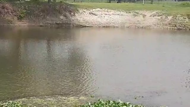 नवाबगंज क्षेत्र अंतर्गत कुटिला सरजू नदी का बढ़ना शुरू हुआ जलस्तर किसान परेशान