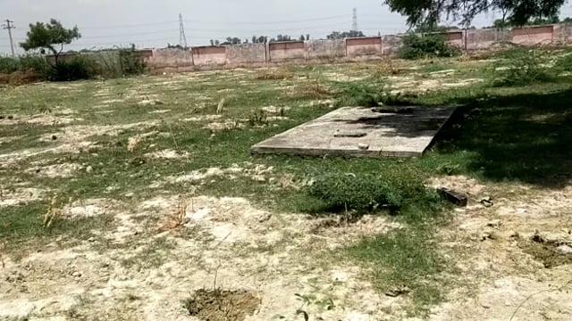 कुंडा के रेंजर की बड़ी लापरवाही हो रही उजागर वृक्षारोपण करने के बाद नहीं मिला वृक्षों को पानी सूख रहे पौधों