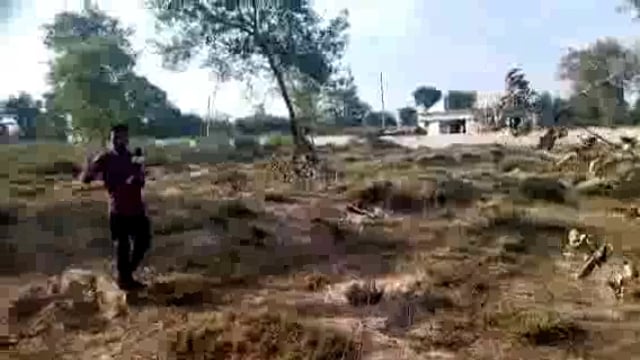 तरबगंज महज कागजों में ही फैली हरियाली