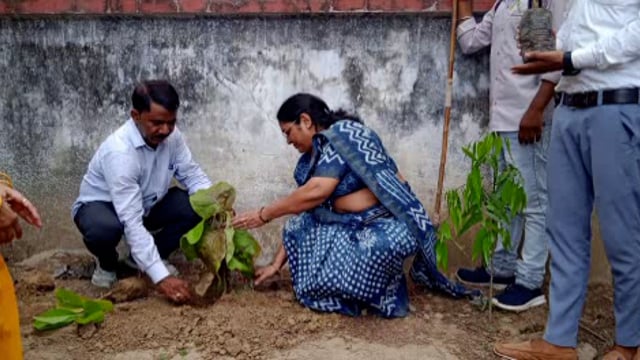 चुनार मिर्ज़ापुर: वृक्षारोपण कार्यक्रम का शुभारंभ किया गया